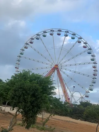 אמיר אמיר