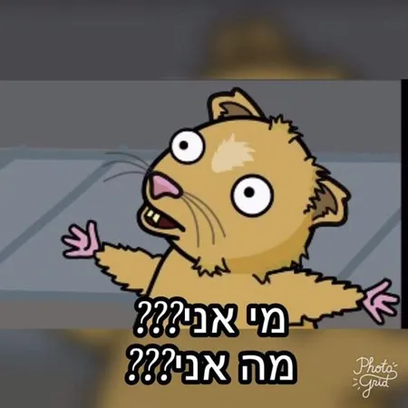 ישראלווש