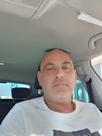 דב