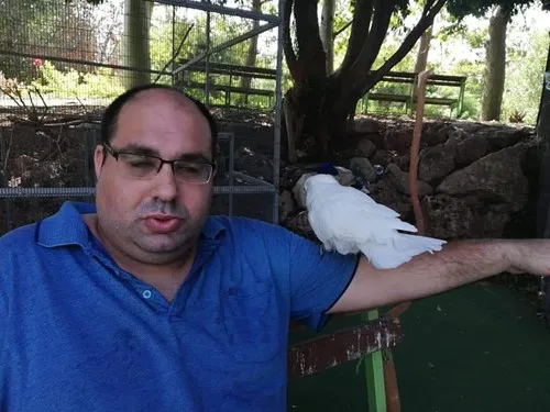 מקסים השועל