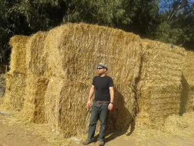 שלומי777