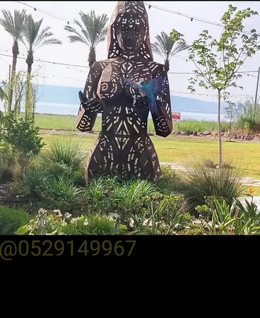 נהג.רטובות-צפון
