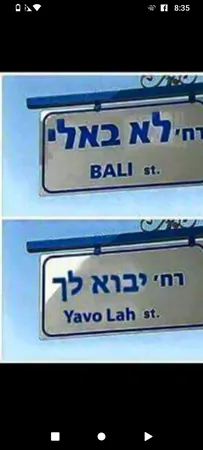 22 סנטימטר 