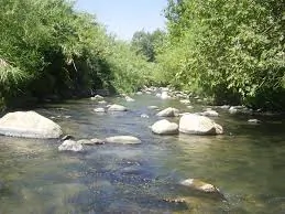 Maeni1