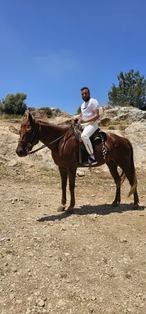 דניאל לימודים