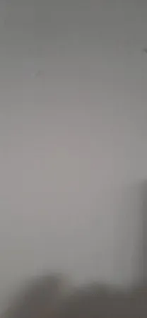 דוודדו