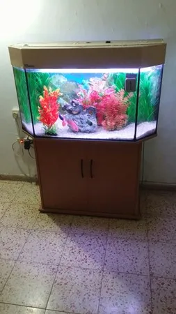 yoni77