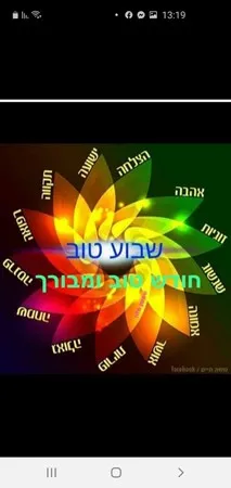 חיימוני