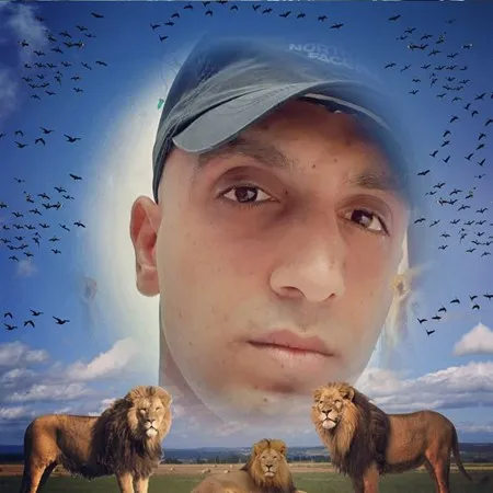 fares