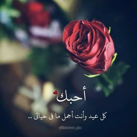 Rtrt