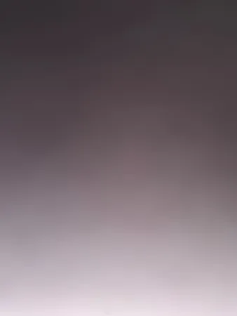  Bbvv