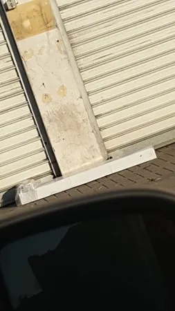 מאמון