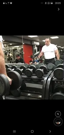 נמר רומנטי