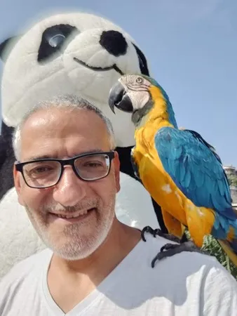 ירון ארד