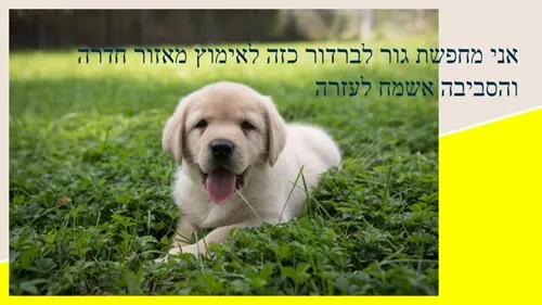 מאילה