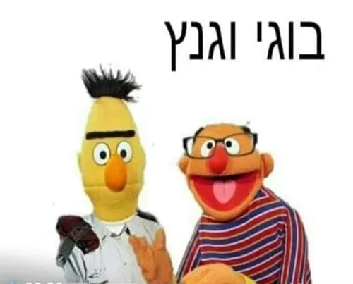 שלומיי1