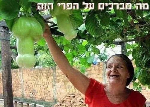 קפית
