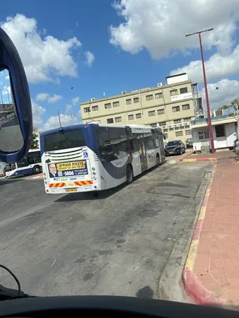 הסקרן
