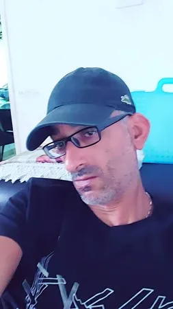 חתול רחוב