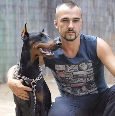 Doberman27