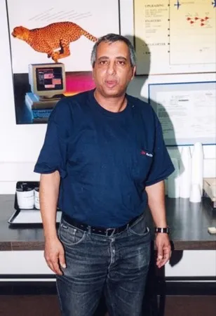ארזי