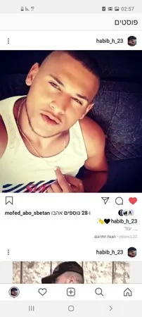 חביב חביב