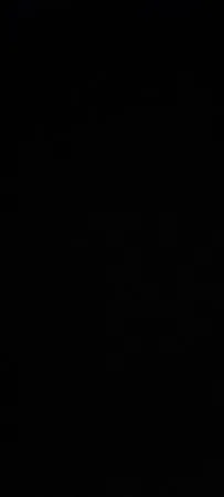 טימו24