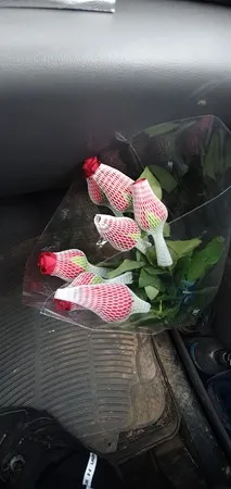 אמיר עטא