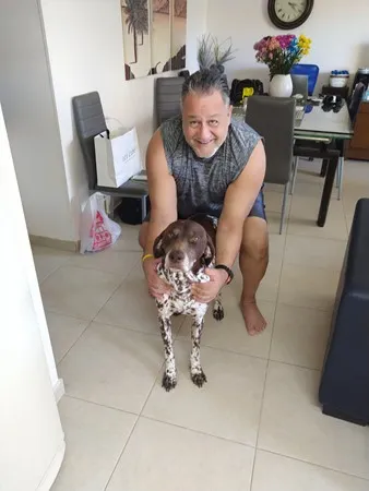 האופטימיסט