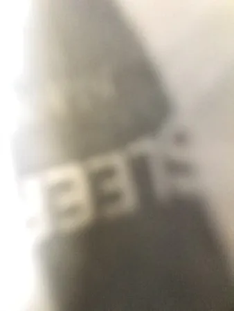 טימותי 
