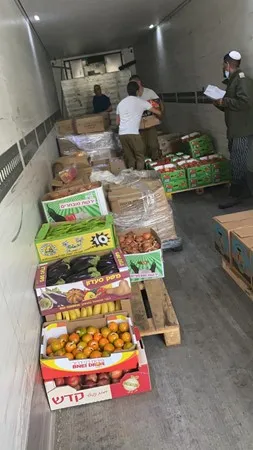 דקלוקנין
