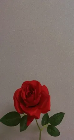 אגם :)