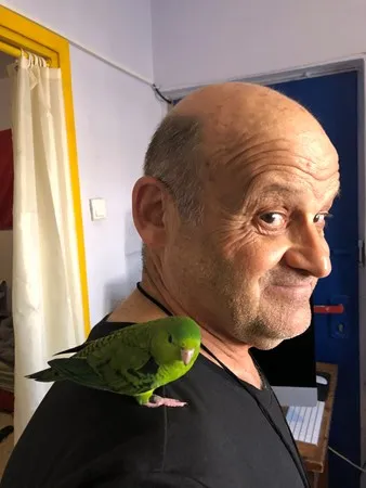 סטו