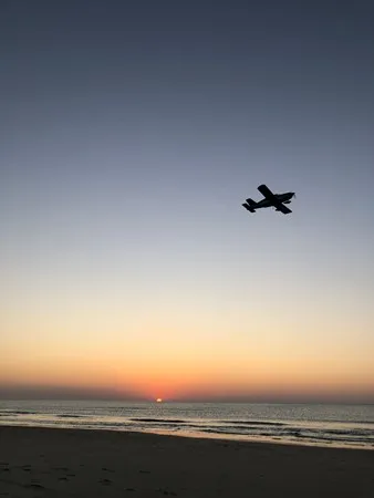 DG