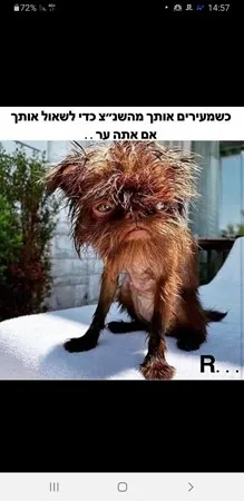  המפנק