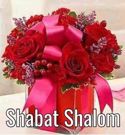 דניאל קריס