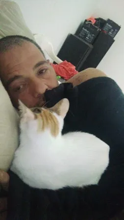 יוסי חתול