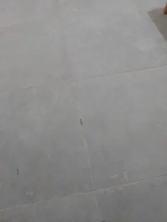 Shkkk