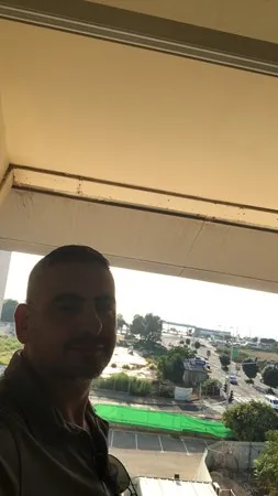 Ameer the lion