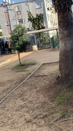 נףףיח