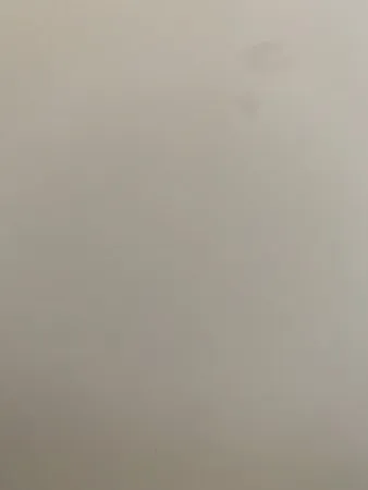 המשפריץ