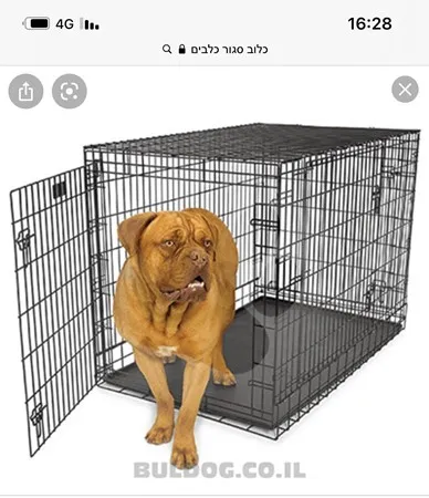 סטארסקי