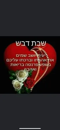הנהג