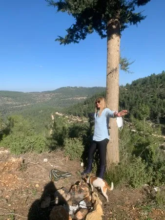 ח.מ