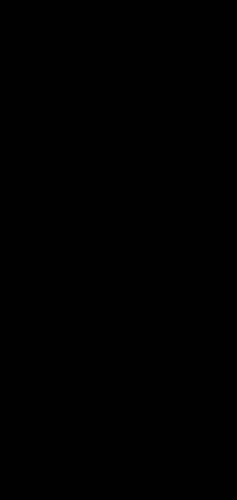 Nadav01