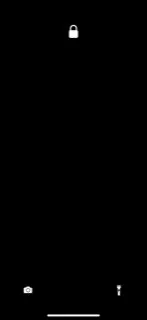 רוי1264