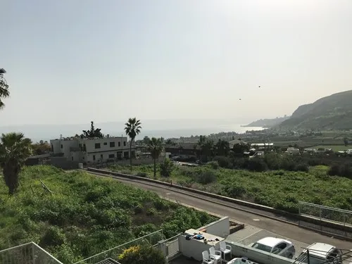 אלי דוד
