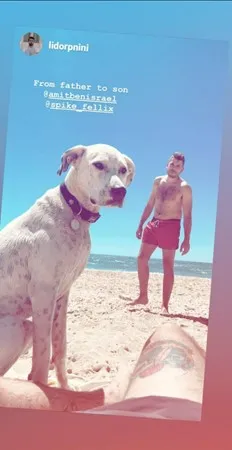המושבניק