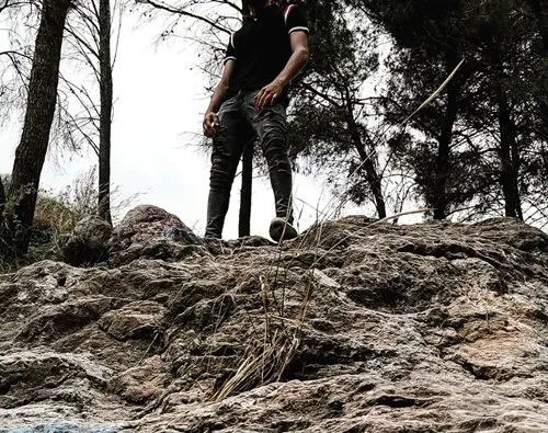 Kameel
