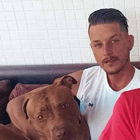 Gil29